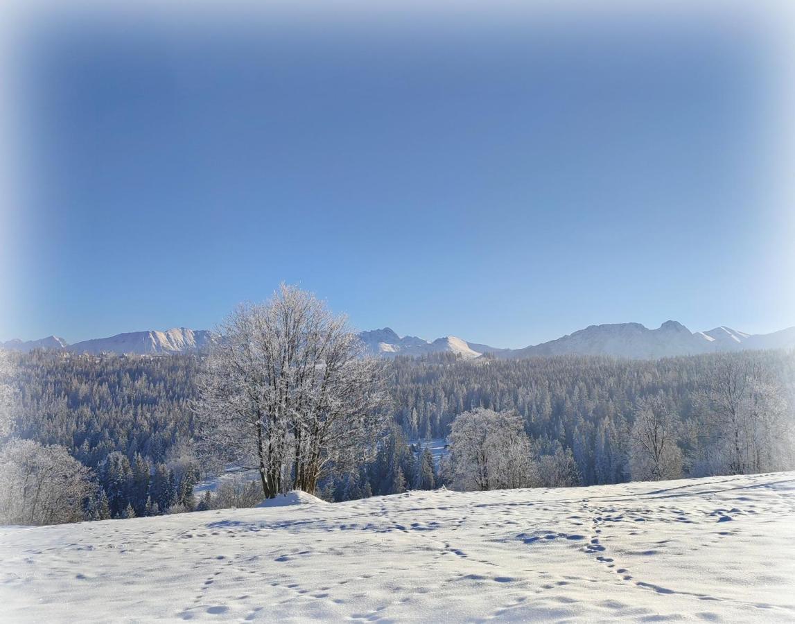 Willa Juna Tatry Nowe Bystre 외부 사진