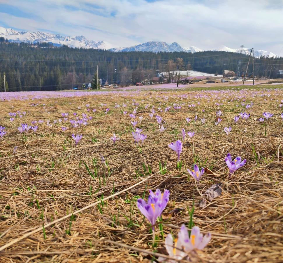 Willa Juna Tatry Nowe Bystre 외부 사진